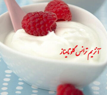 آنزیم ترانس گلوتامیناز بیونیک