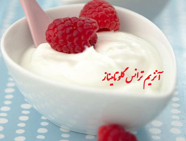 آنزیم ترانس گلوتامیناز بیونیک